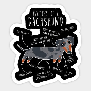 Blue Dapple Dachshund Dog Anatomy Sticker